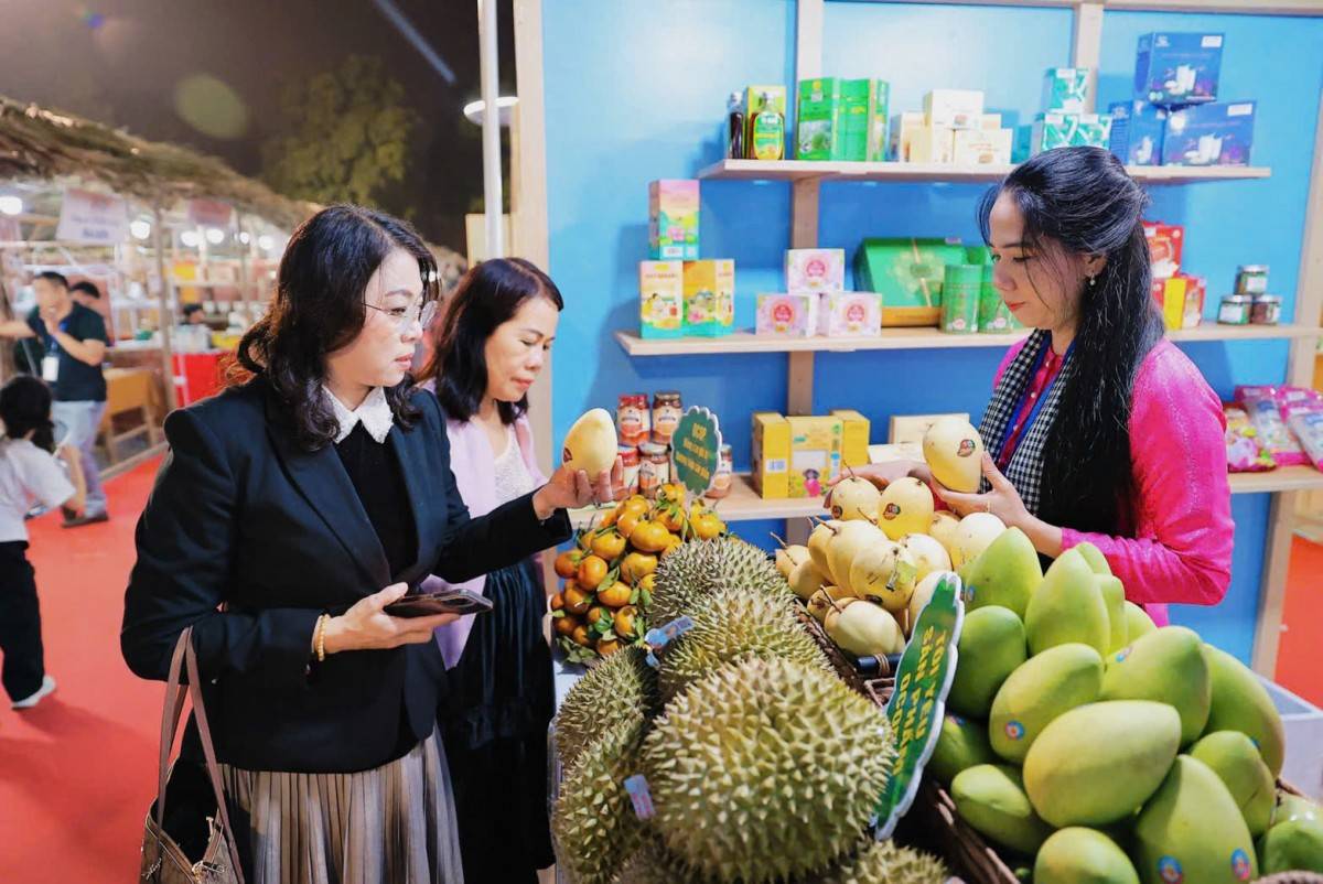 Festival OCOP Việt Nam 2025: Tôn vinh 22 chủ thể OCOP quốc gia tiêu biểu