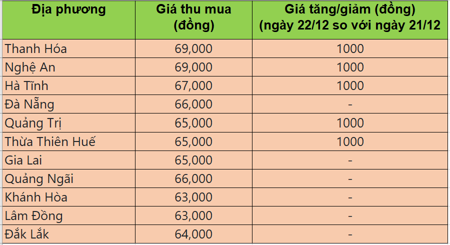 Bảng giá heo hơi tại miền Trung - Tây Nguyên hôm nay 22/12/2025