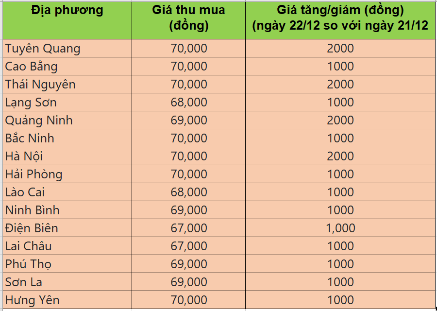 Bảng giá heo hơi tại miền Bắc hôm nay 22/12/2025