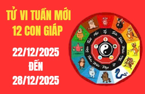 Tử vi tuần mới 12 con giáp từ 22/12 – 28/12/2025: Bước ngoặt cuối năm, ai được vận may gõ gửa?