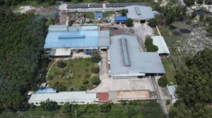 Lâm Đồng: Cấp giấy phép môi trường cho nhà máy bột cá Imexco tại Xã Sơn Mỹ