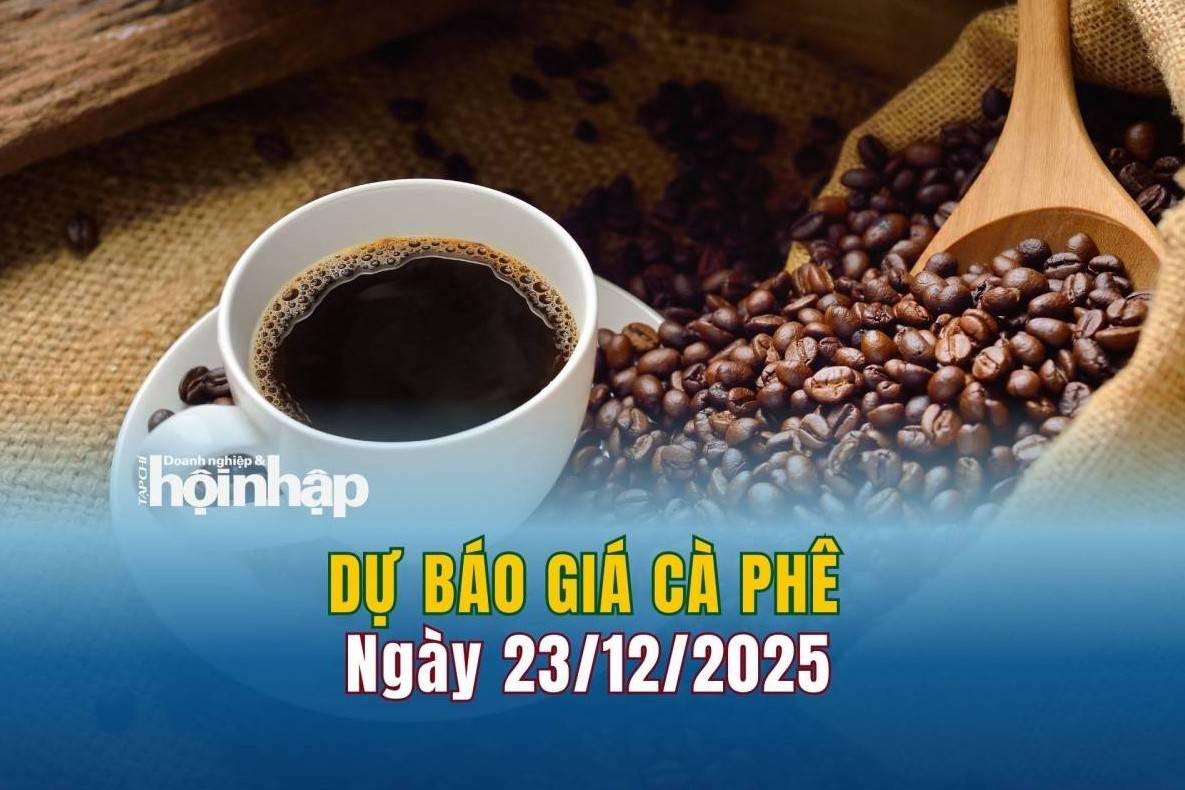 Dự báo giá cà phê 23/12: Cà phê trong nước "bật" tăng mạnh