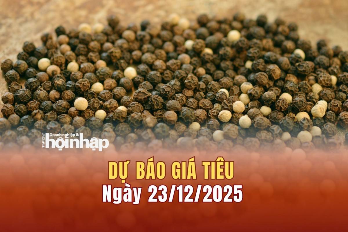Dự báo giá tiêu 22/12: Giá tiêu trong nước duy trì đà tăng mạnh