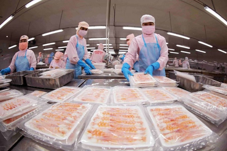 C/O ưu đãi không còn là lợi thế đủ khi thị trường Bắc Âu siết chặt tiêu chuẩn xanh