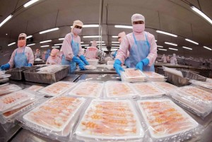 C/O ưu đãi không còn là lợi thế đủ khi thị trường Bắc Âu siết chặt tiêu chuẩn xanh