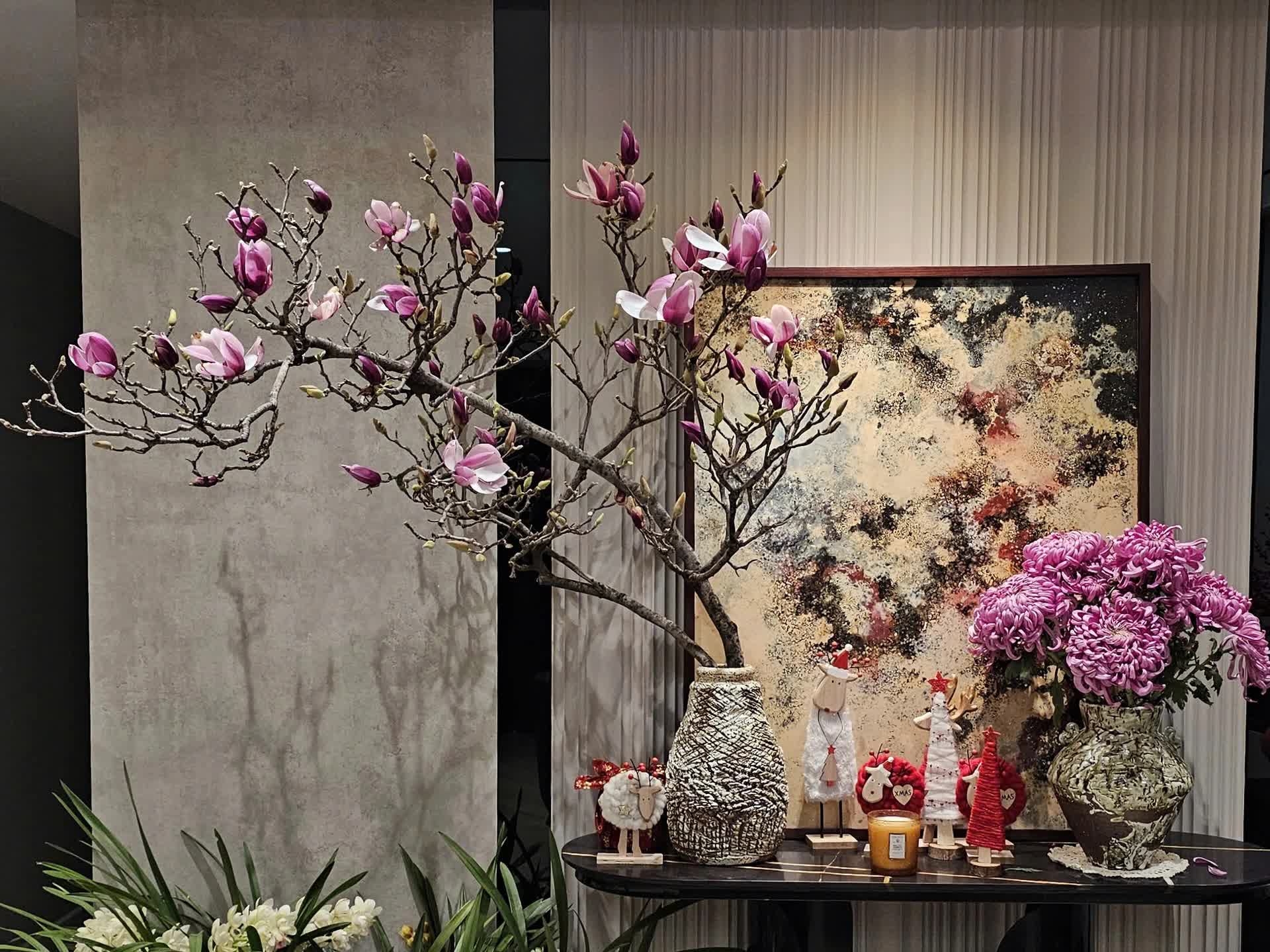 Hoa mộc lan nở sớm, mang không khí Tết về với người Hà Nội