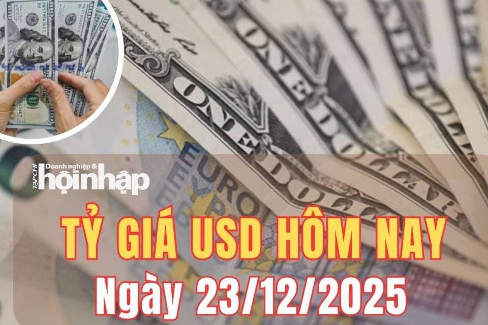 Tỷ giá USD hôm nay 23/12/2025: Đồng USD thế giới suy yếu