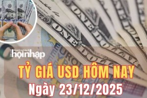 Tỷ giá USD hôm nay 23/12/2025: Đồng USD thế giới suy yếu