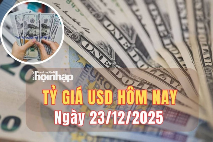 Tỷ giá USD hôm nay 23/12/2025: Đồng USD thế giới suy yếu