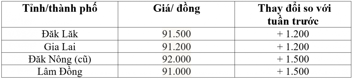 Bảng giá cà phê trong nước hôm nay 23/12/2025