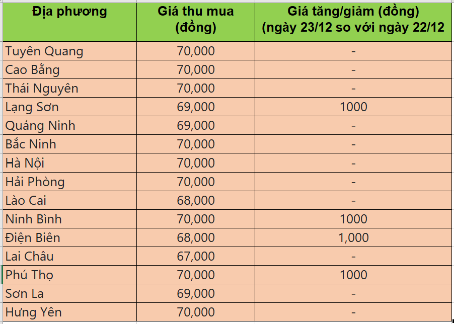 Bảng giá heo hơi tại miền Bắc hôm nay 22/12/2025