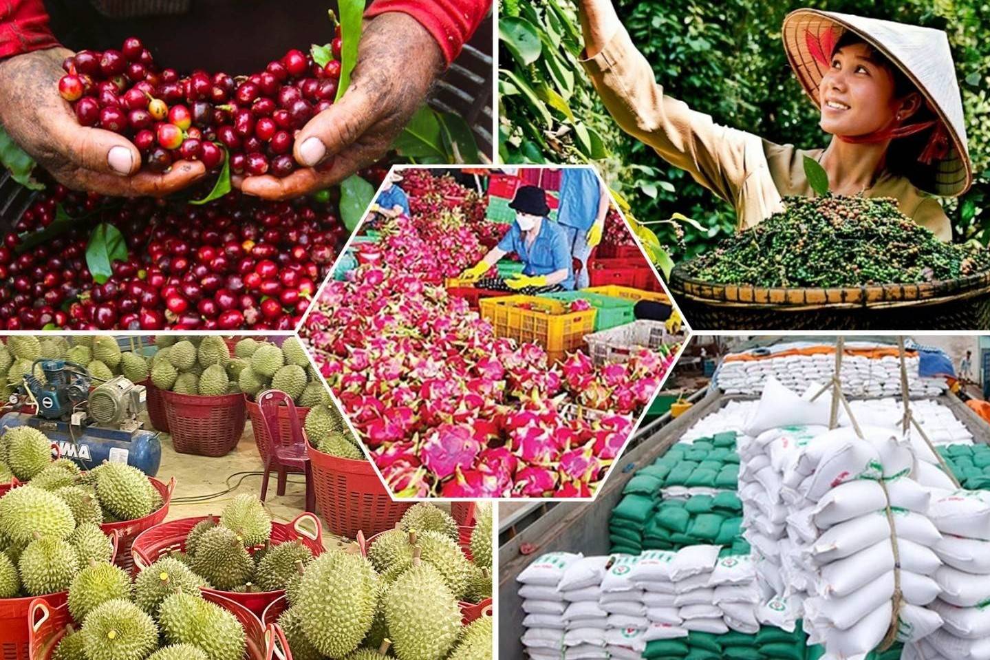 Nông sản Việt giảm gần 50% cảnh báo SPS từ EU