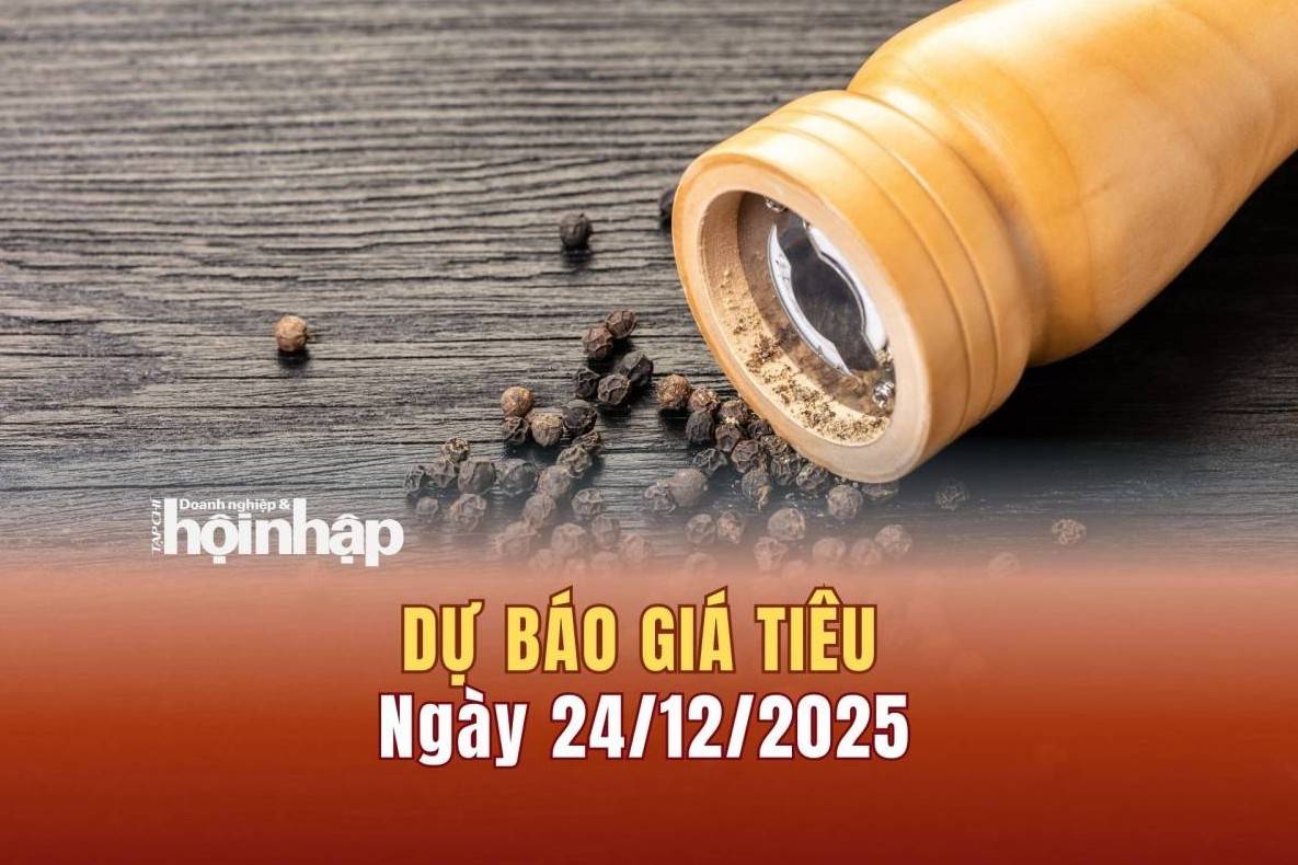 Dự báo giá tiêu 24/12: Giá tiêu trong nước và thế giới có xu hướng tăng mạnh