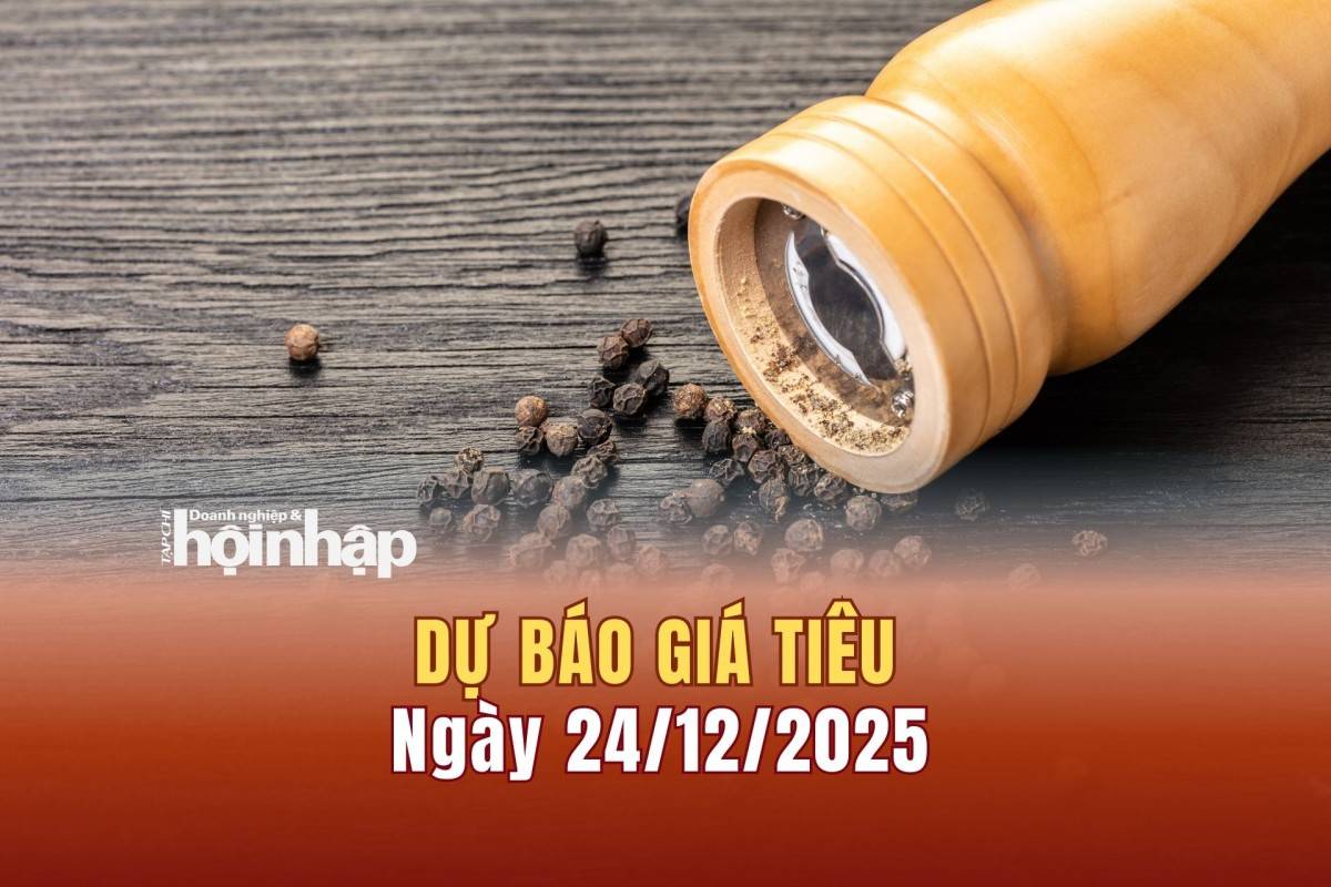 Dự báo giá tiêu 23/12: Giá tiêu trong nước và thế giới đồng loạt tăng cao