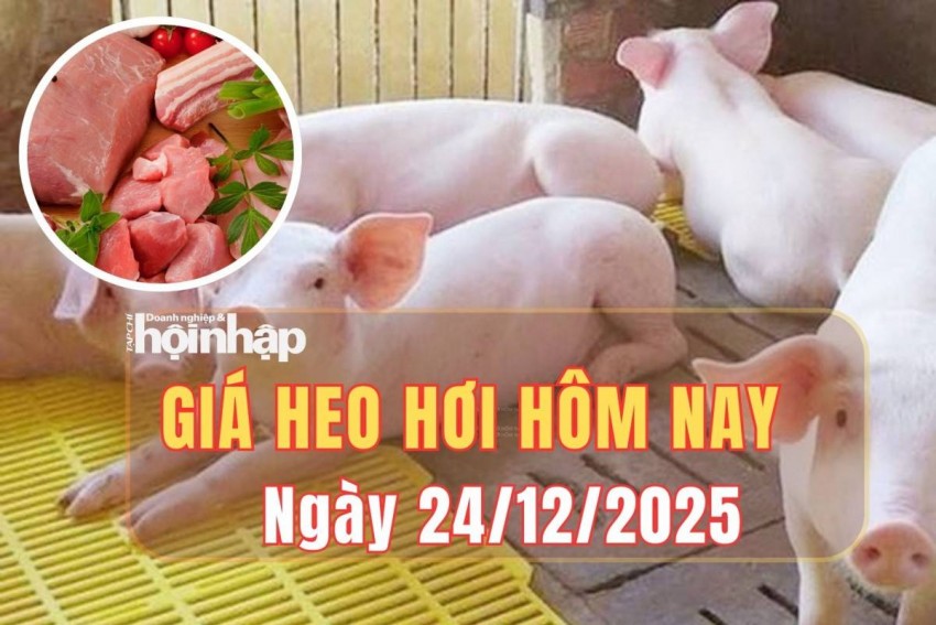 giá heo hơi