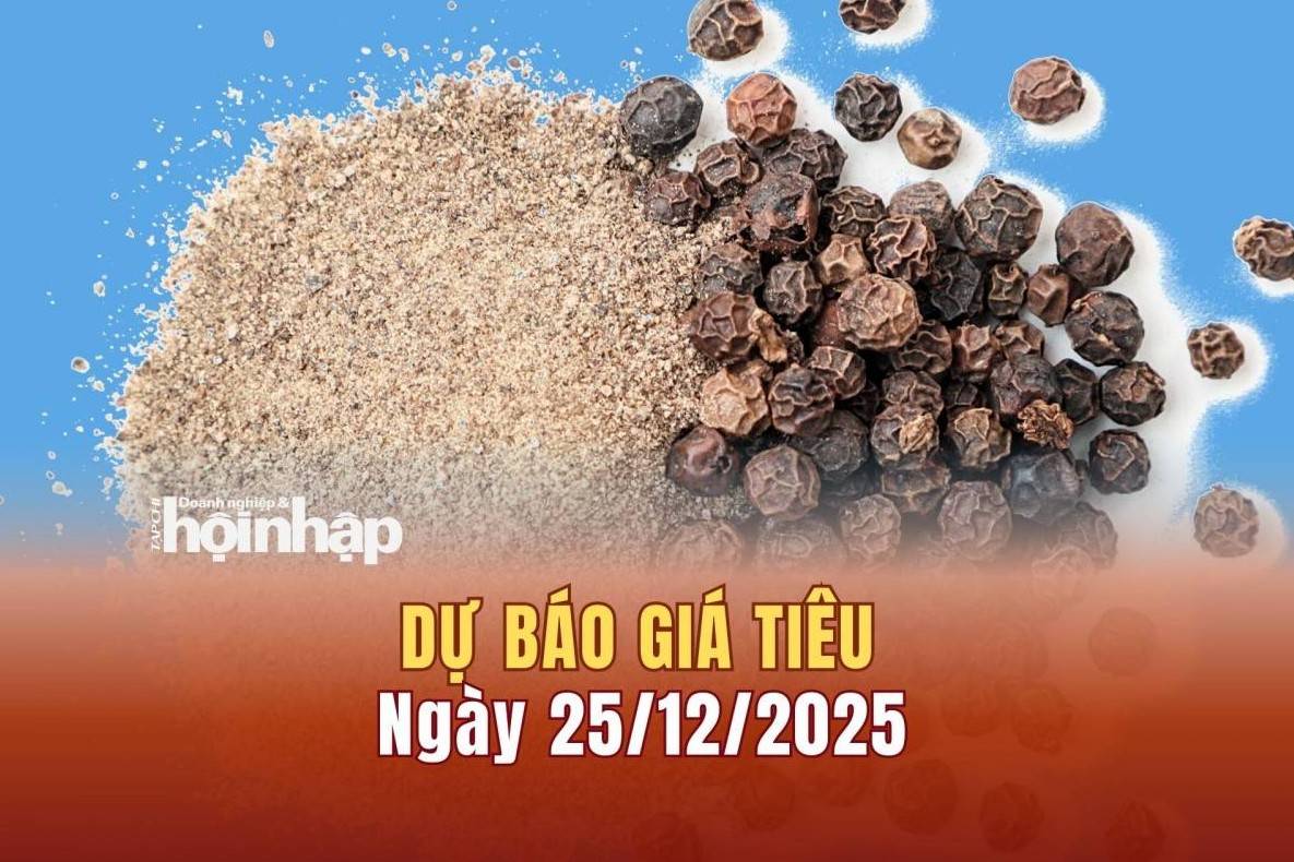 Dự báo giá tiêu 25/12: Giá tiêu trong nước duy trì xu hướng tăng mạnh