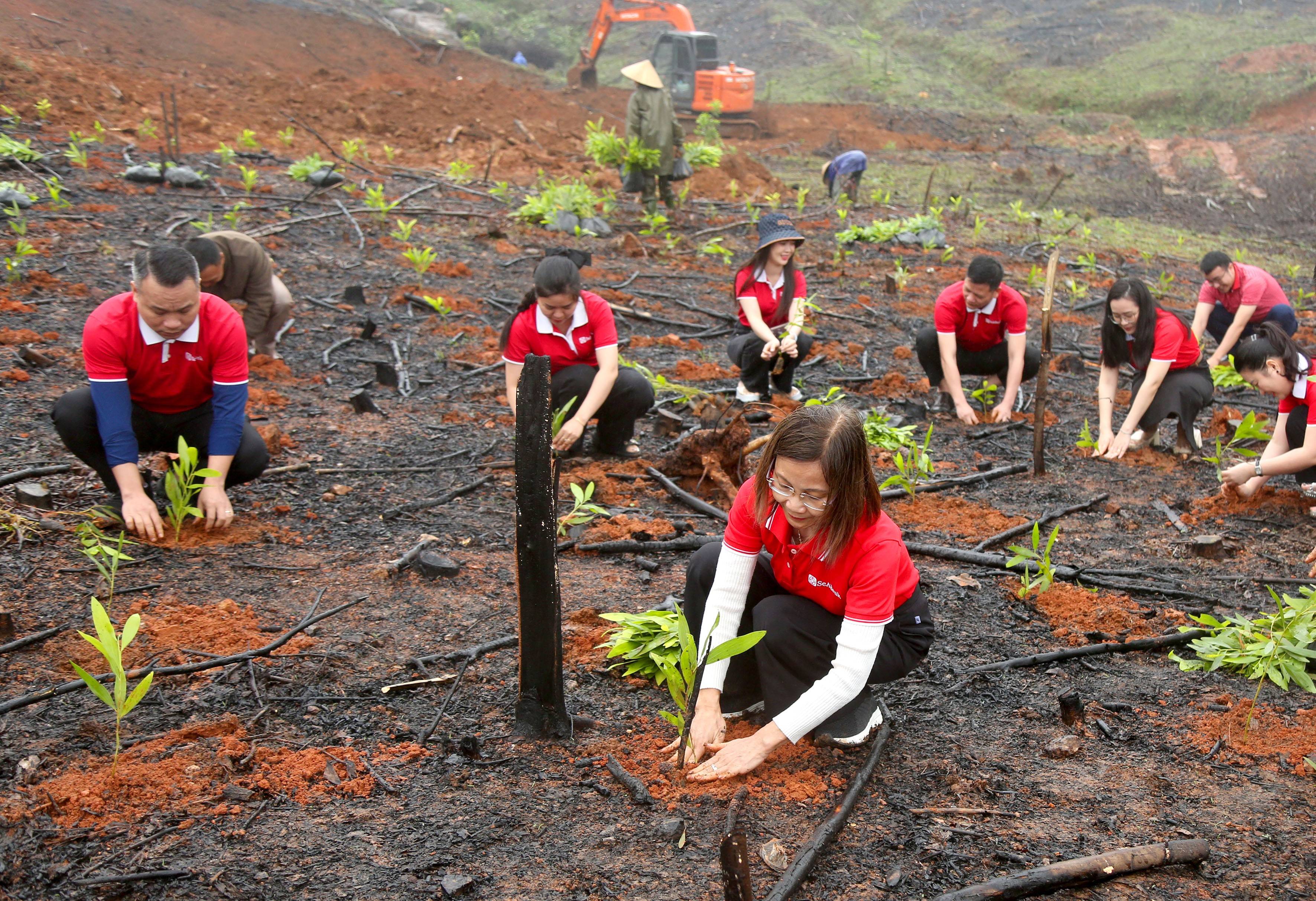 Các thành viên SeABAnk tham gia trồng rừng tại Hà Tĩnh