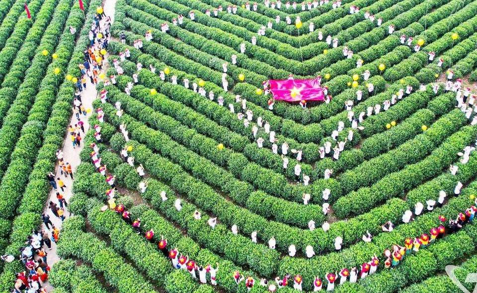 Năm 2025: Trên 22 triệu lượt du khách quốc tế đến Việt Nam