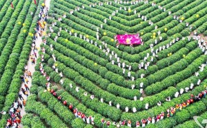 Năm 2025: Trên 22 triệu lượt du khách quốc tế đến Việt Nam