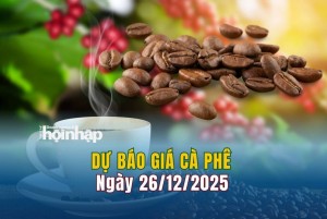 Dự báo giá cà phê 26/12: Cà phê trong nước và thế giới tiếp đà tăng cao