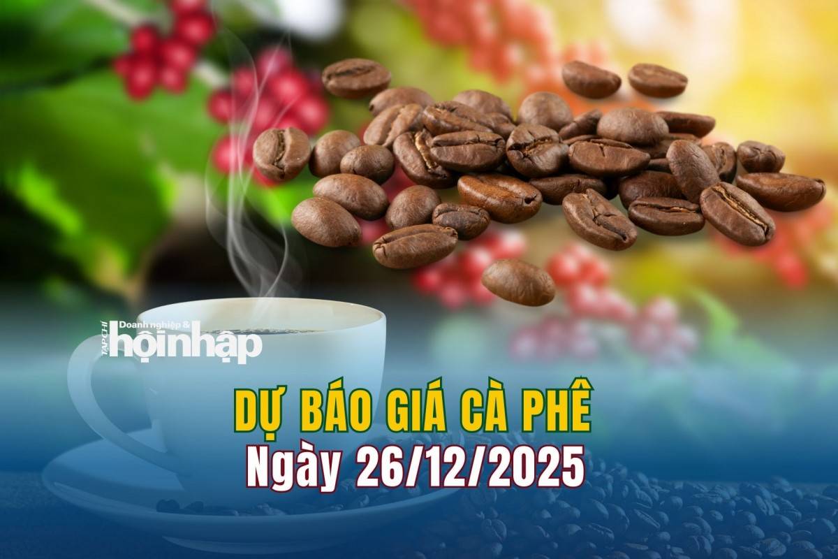Dự báo giá cà phê 25/12: Cà phê trong nước và thế giới tăng vọt