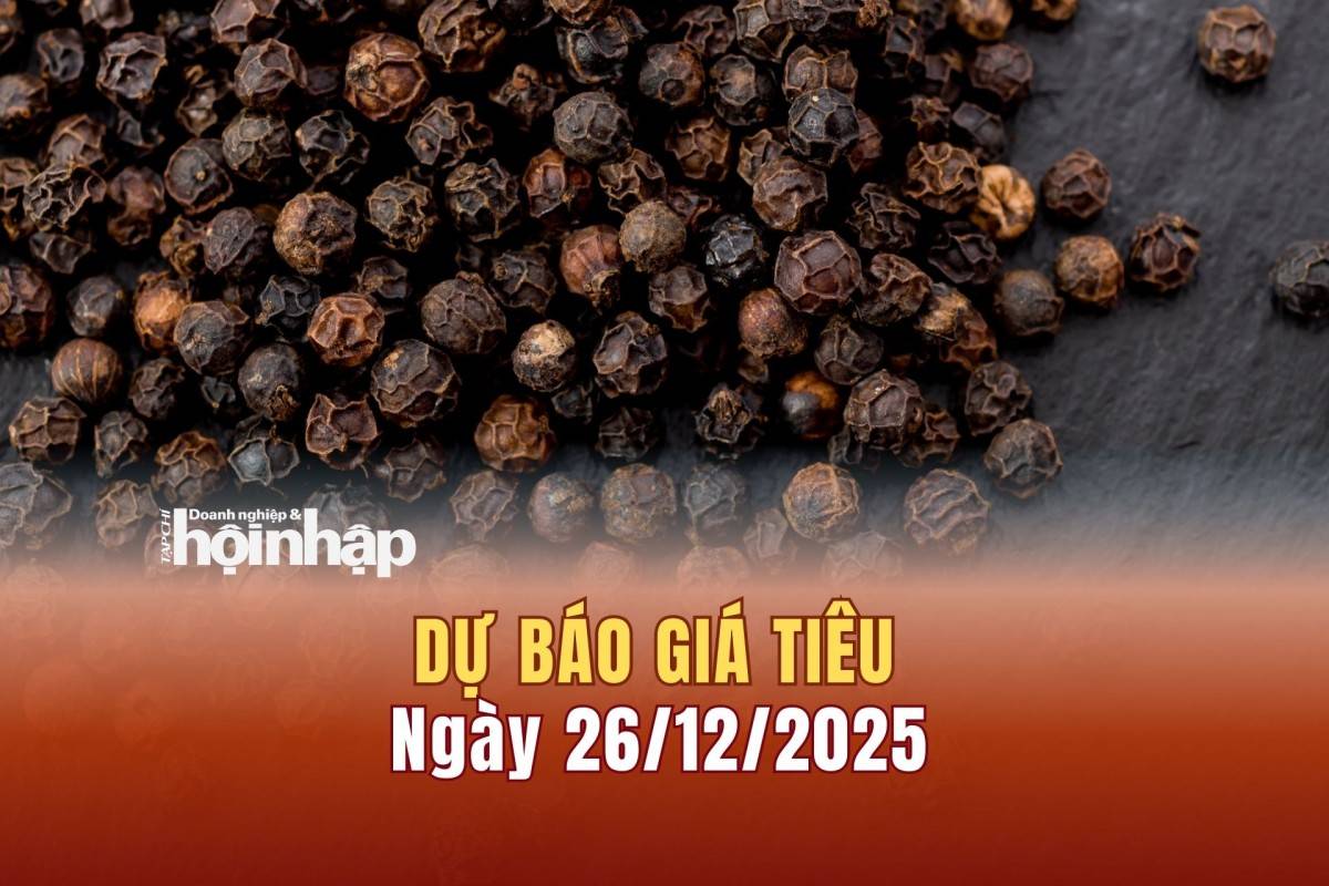Dự báo giá tiêu 25/12: Giá tiêu trong nước duy trì xu hướng tăng mạnh