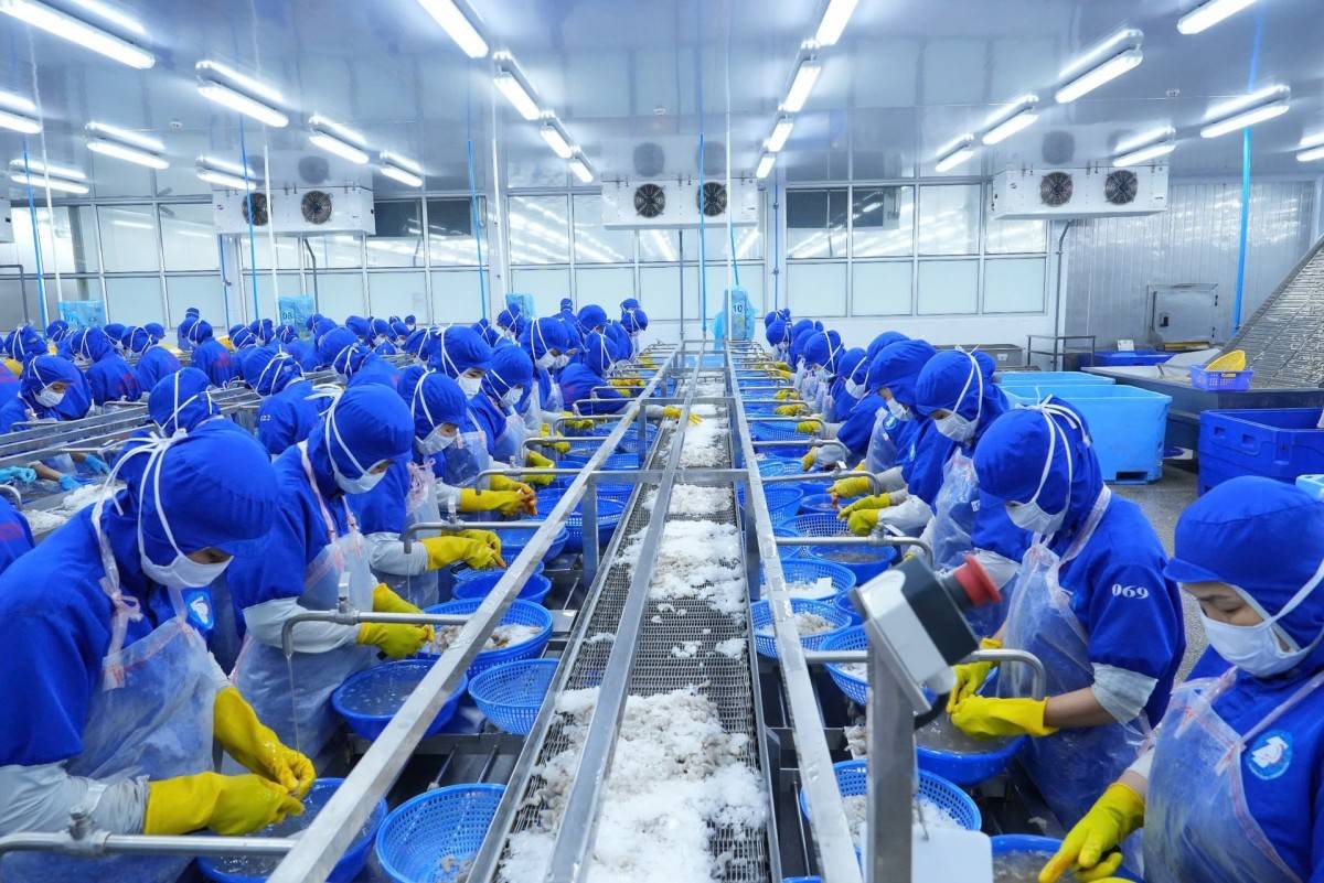 Cuối năm, doanh nghiệp thủy sản đón “tin vui” về ưu đãi thuế