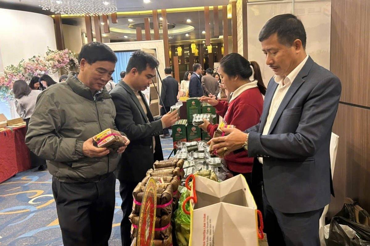 Thanh Hóa đón 16,28 triệu du khách năm 2025, đặt mục tiêu vượt 18 triệu trong 2026