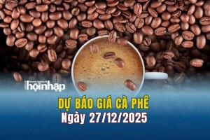 Dự báo giá cà phê 27/12: Cà phê trong nước đảo chiều giảm