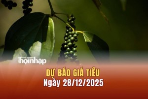 Dự báo giá tiêu 28/12: Giá tiêu trong nước đồng loạt tăng