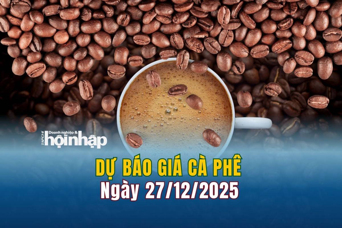 Dự báo giá cà phê 26/12: Cà phê trong nước và thế giới tiếp đà tăng cao