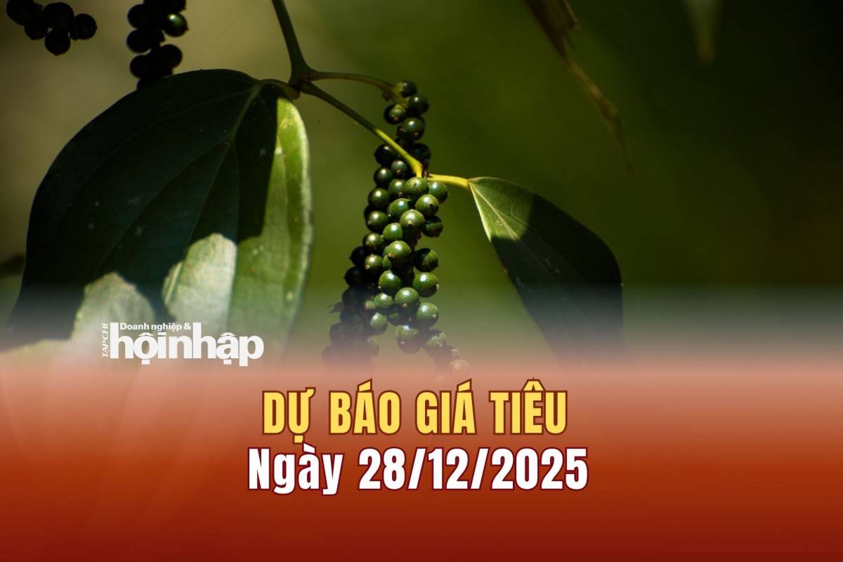 Dự báo giá tiêu 27/12: Giá tiêu trong nước và thế giới có xu hướng tăng cao