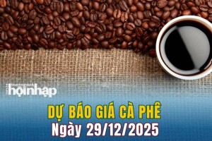 Dự báo giá cà phê 29/12: Cà phê trong nước có xu hướng tăng cao