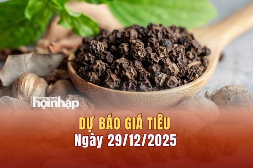 Dự báo giá tiêu 29/12: Giá tiêu trong nước bật tăng cao