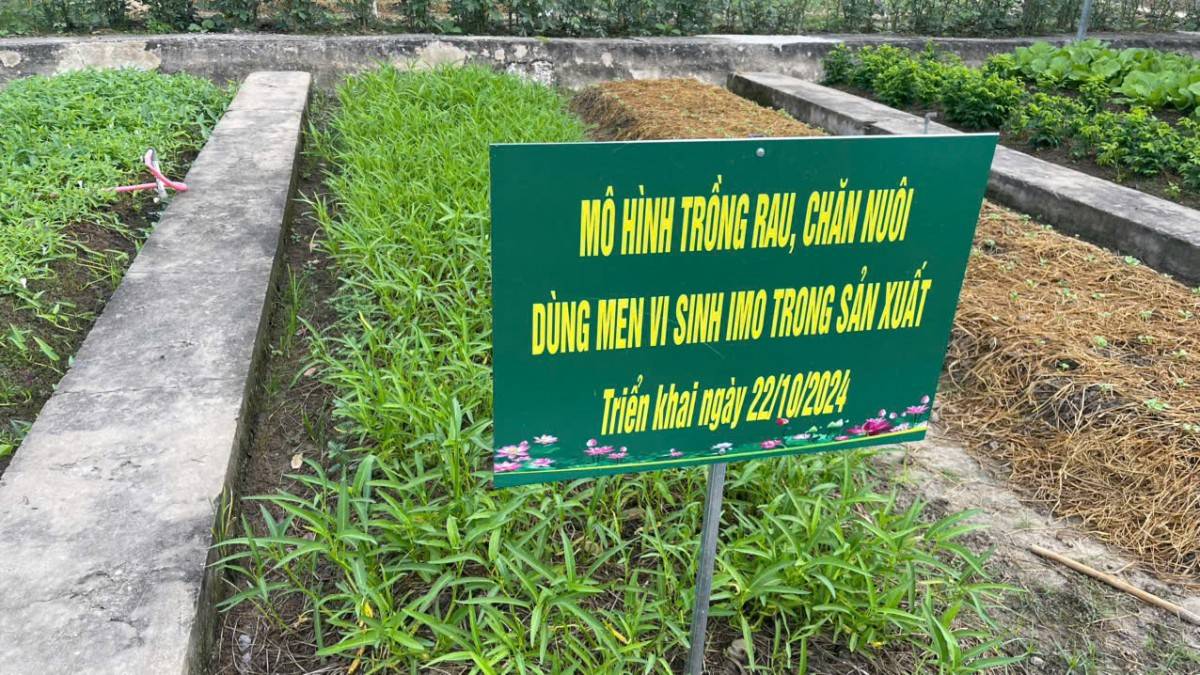 Khởi nghiệp xanh từ men vi sinh bản địa: Biến rác thải thành cơ hội kinh tế