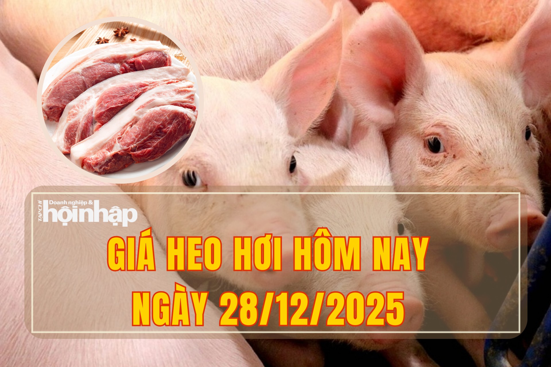 Giá heo hơi hôm nay 28/12/2025: Thị trường tạm chững giá