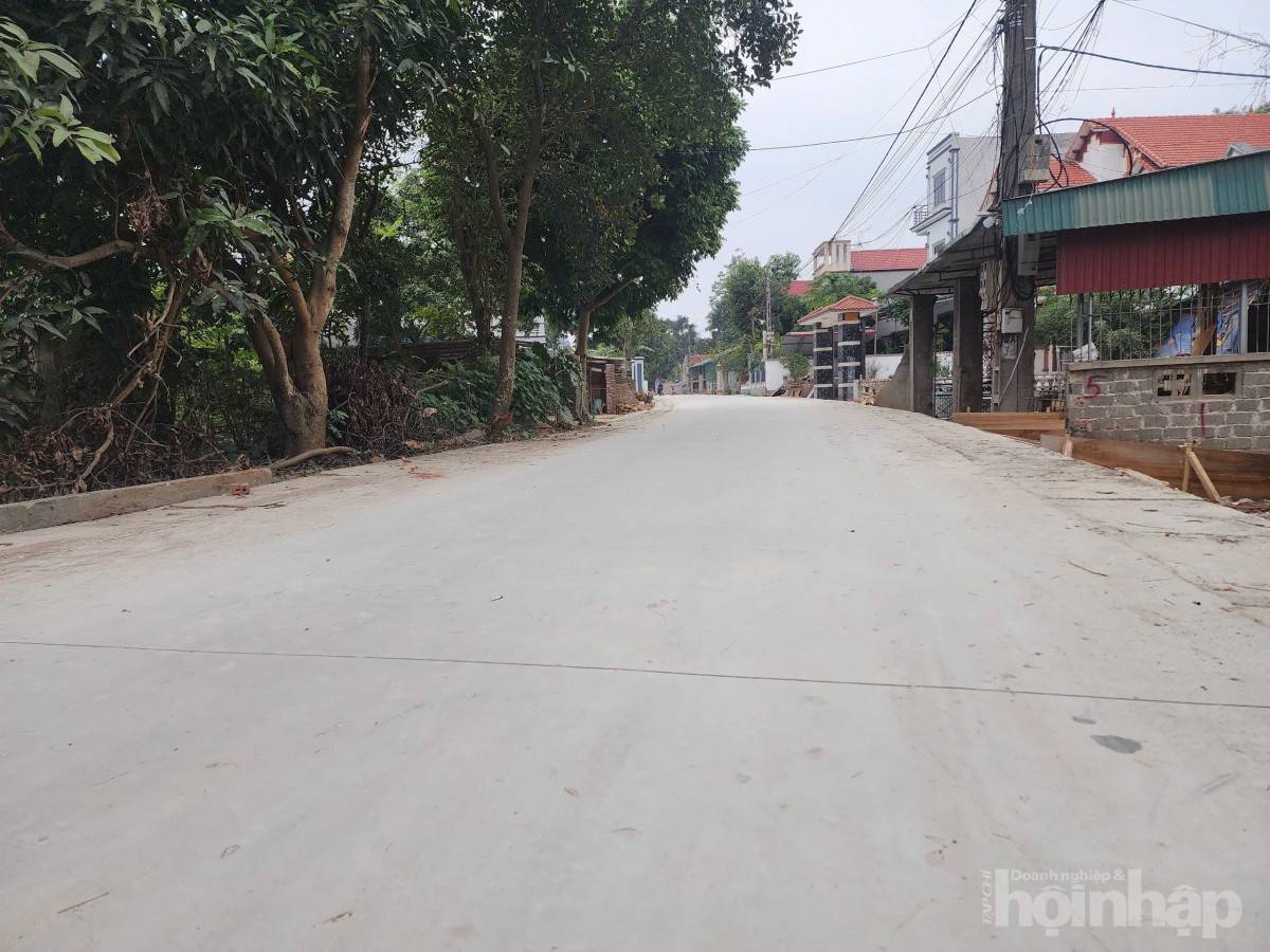 Giáo dân Hiền Quan chung sức hoàn thành đường GTNT sau 2 tháng thi công