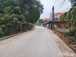 Giáo dân Hiền Quan chung sức hoàn thành đường GTNT sau 2 tháng thi công