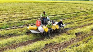 Toàn Cầu Group tái cấu trúc chuỗi giá trị nông nghiệp xanh, hướng tới hệ sinh thái bền vững