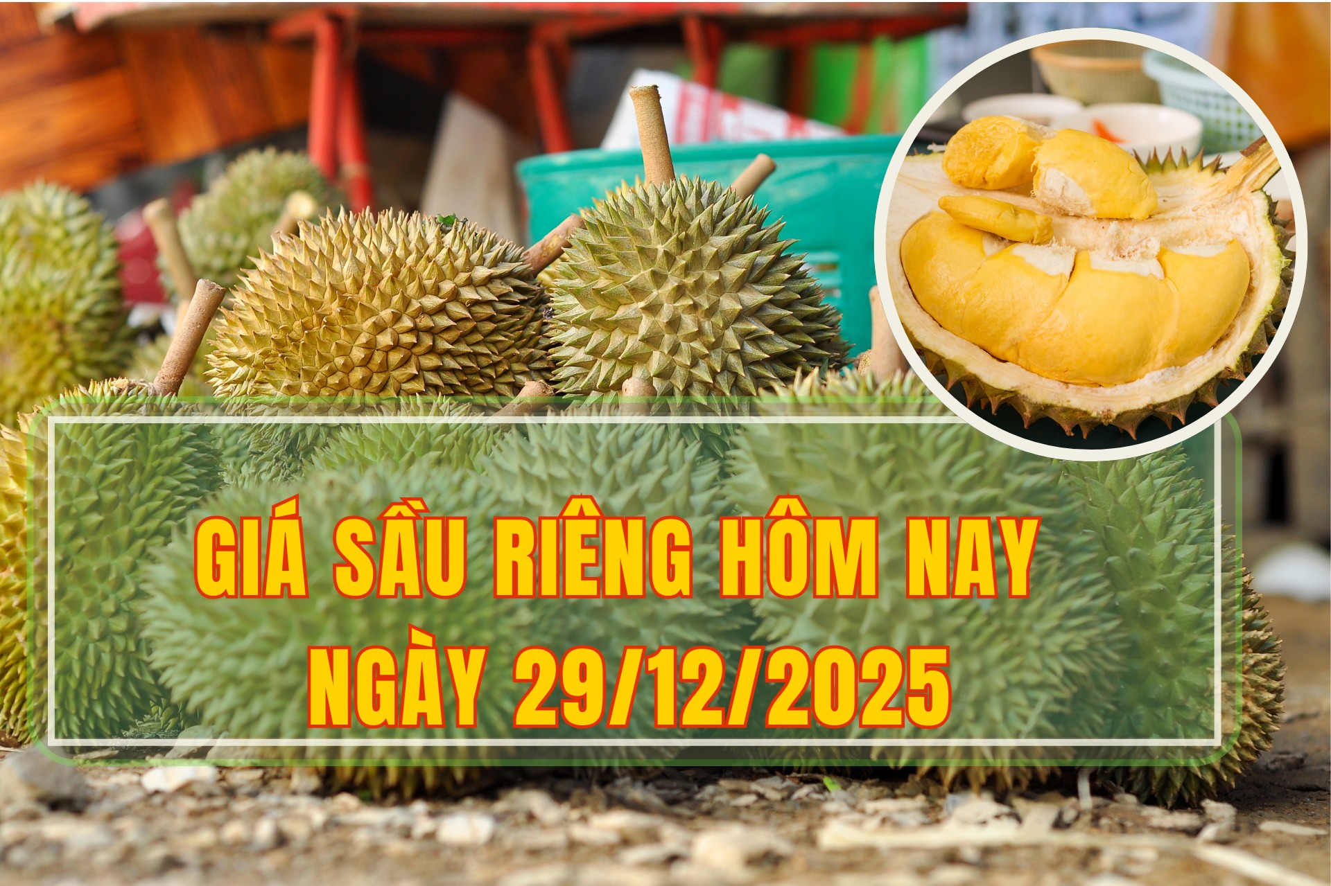 Giá sầu riêng hôm nay 29/12: Sầu riêng Ri6, sầu riêng Chuồng Bò tăng giá trở lại