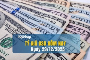 Tỷ giá USD hôm nay 29/12/2025: Đồng USD tiếp tục chịu áp lực giảm