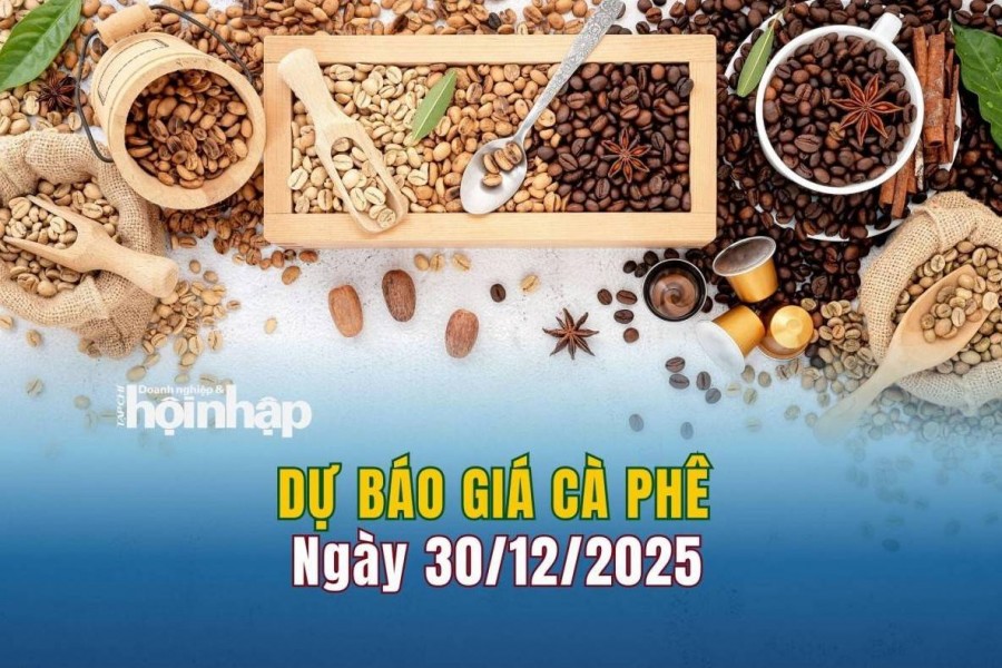 Dự báo giá cà phê 30/12: Cà phê trong nước "lao dốc"