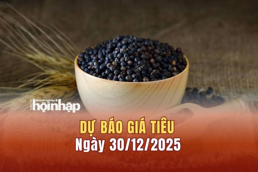 Dự báo giá tiêu 30/12: Giá tiêu trong nước có xu hướng tăng mạnh