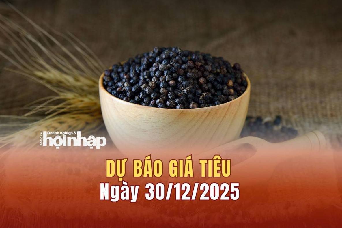 Dự báo giá tiêu 30/12: Giá tiêu trong nước có xu hướng tăng mạnh