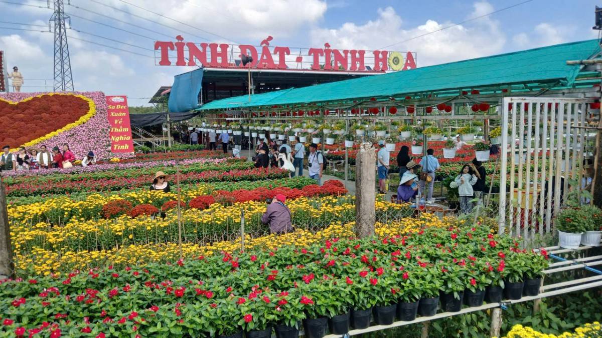 Biển người đổ về Lễ hội hoa Sa Đéc lần thứ II