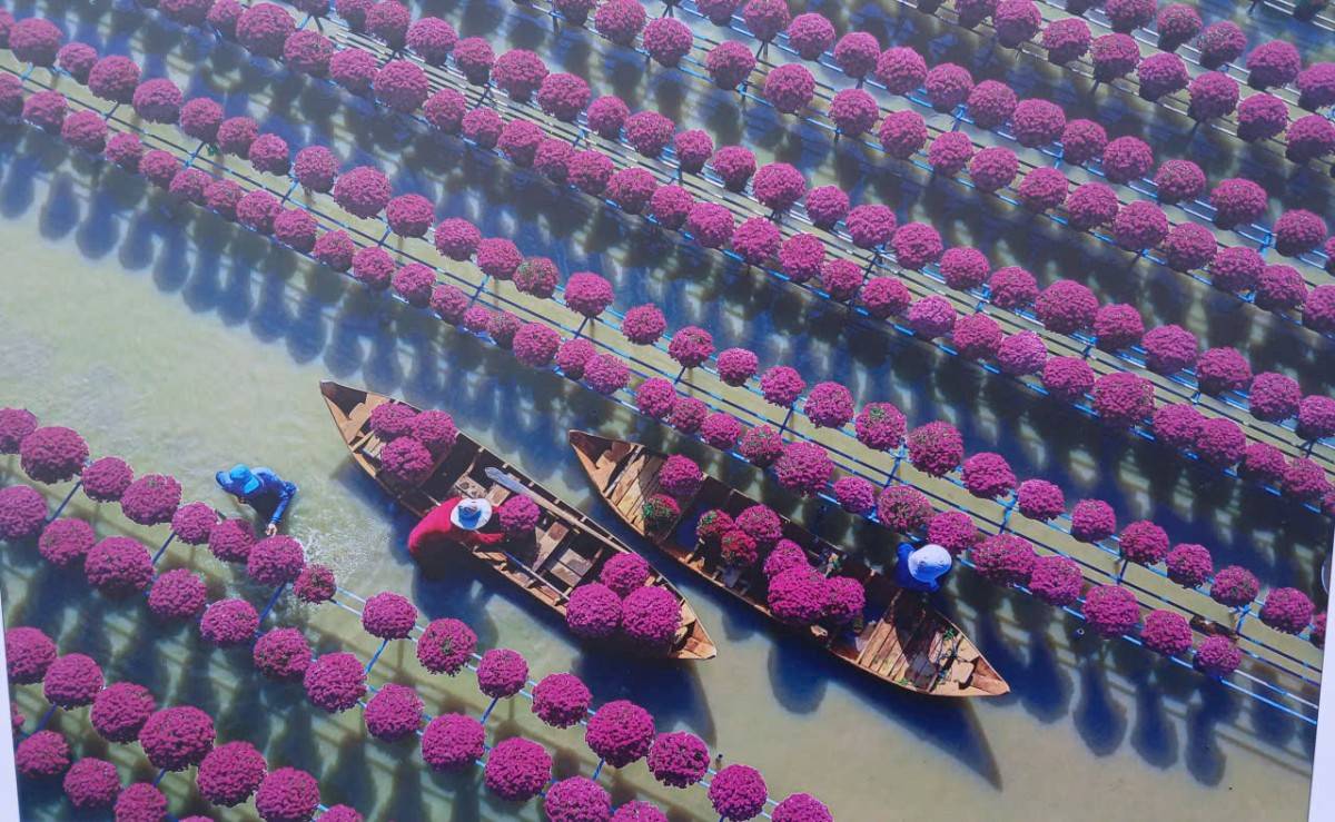 Biển người đổ về Lễ hội hoa Sa Đéc lần thứ II