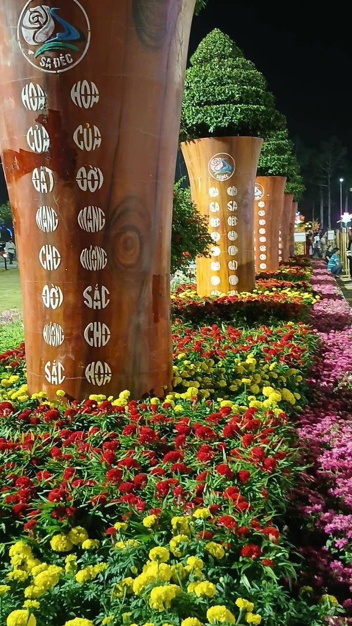 Biển người đổ về Lễ hội hoa Sa Đéc lần thứ II