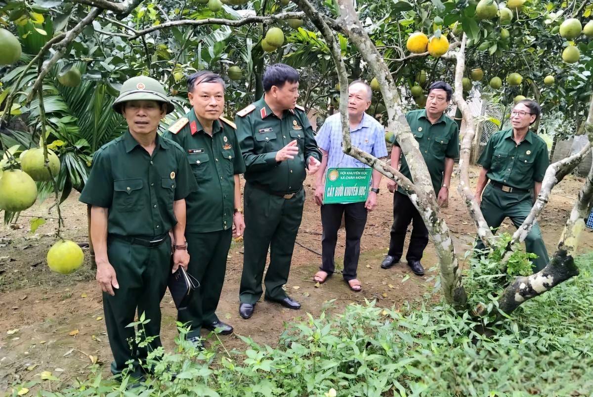 Phú Thọ: Hợp nhất 3 Hội Doanh nhân Cựu chiến binh