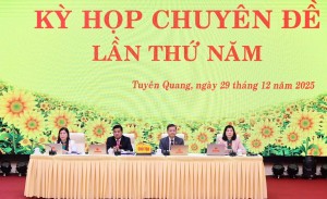 Tuyên Quang: HĐND tỉnh thông qua nhiều nghị quyết phát triển kinh tế – xã hội