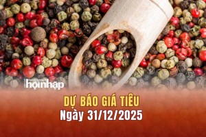 Dự báo giá tiêu 31/12: Giá tiêu trong nước có xu hướng bật tăng cao